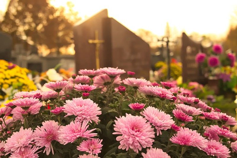 El simbolismo que une al hombre con las flores