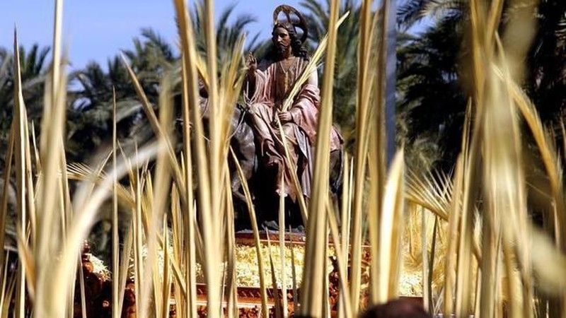 Palmas blancas, uno de los emblemas más tradicionales de la Semana Santa