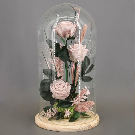 Campanas y cúpulas de cristal de flor seca y flor preservada