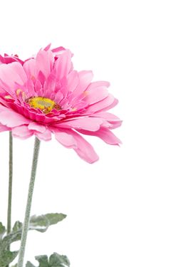 Alegre ramillete artificial de gerberas rosadas