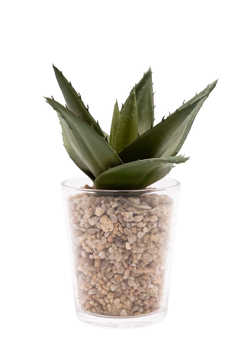 Aloe Vera artificial en vaso de cristal