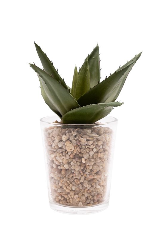 Aloe Vera artificial en vaso de cristal