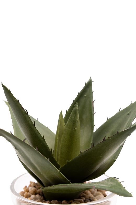 Aloe Vera artificial en vaso de cristal