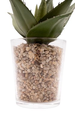Aloe Vera artificial en vaso de cristal