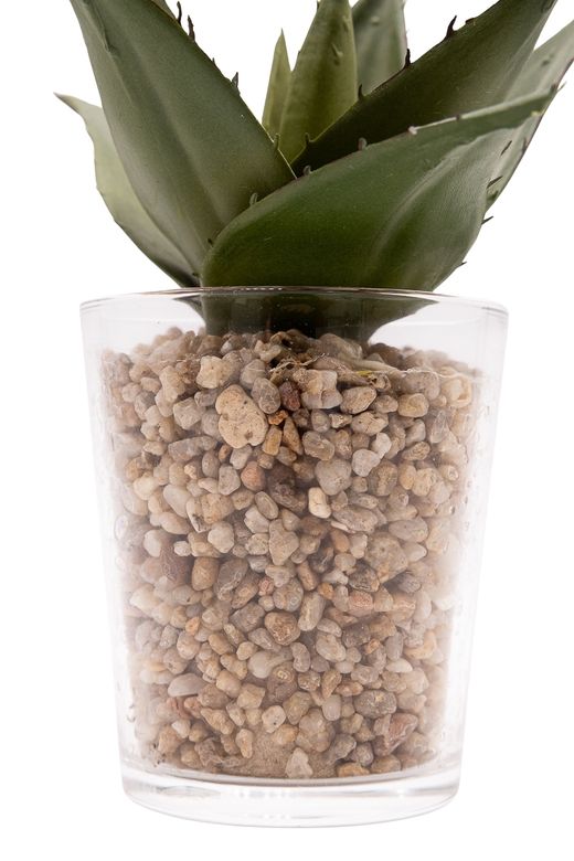 Aloe Vera artificial en vaso de cristal