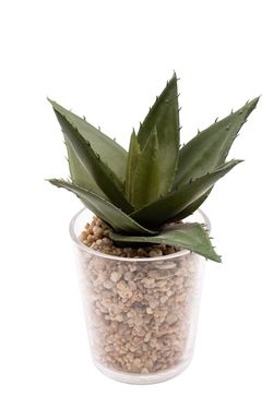 Aloe Vera artificial en vaso de cristal
