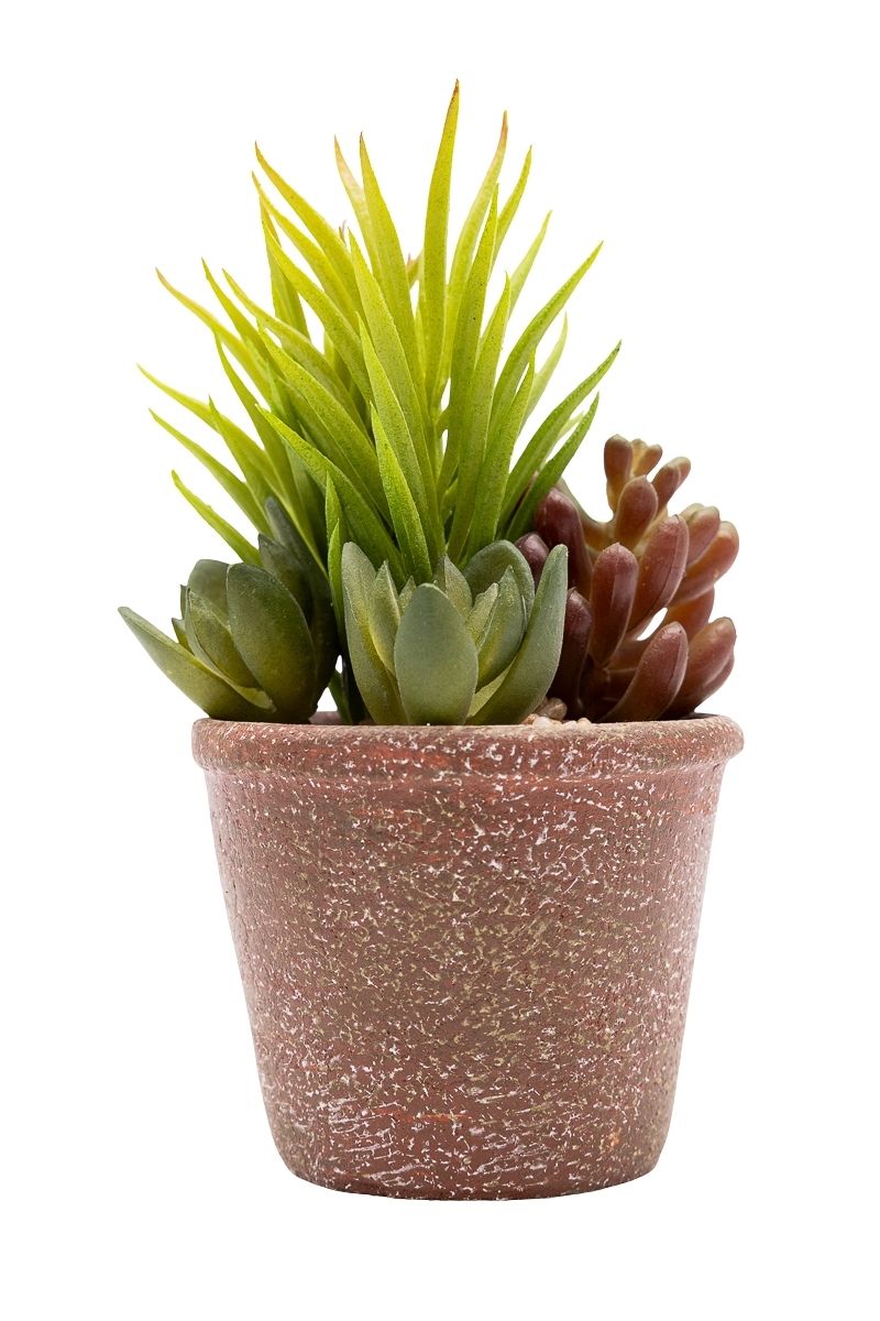 Armoniosa composición de suculentas artificiales