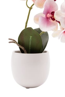Armoniosa Orquídea artificial en tonos blancos y rosados