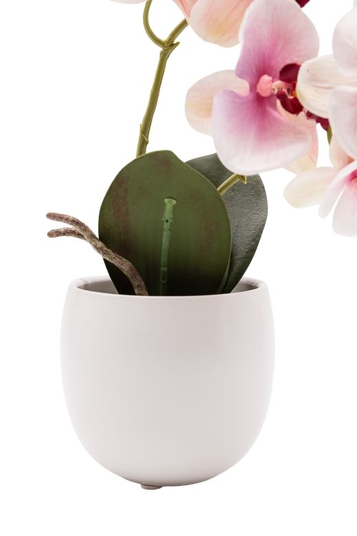 Armoniosa Orquídea artificial en tonos blancos y rosados