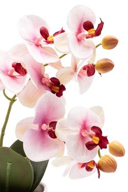 Armoniosa Orquídea artificial en tonos blancos y rosados