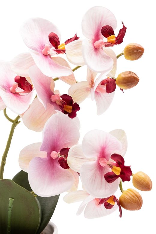 Armoniosa Orquídea artificial en tonos blancos y rosados