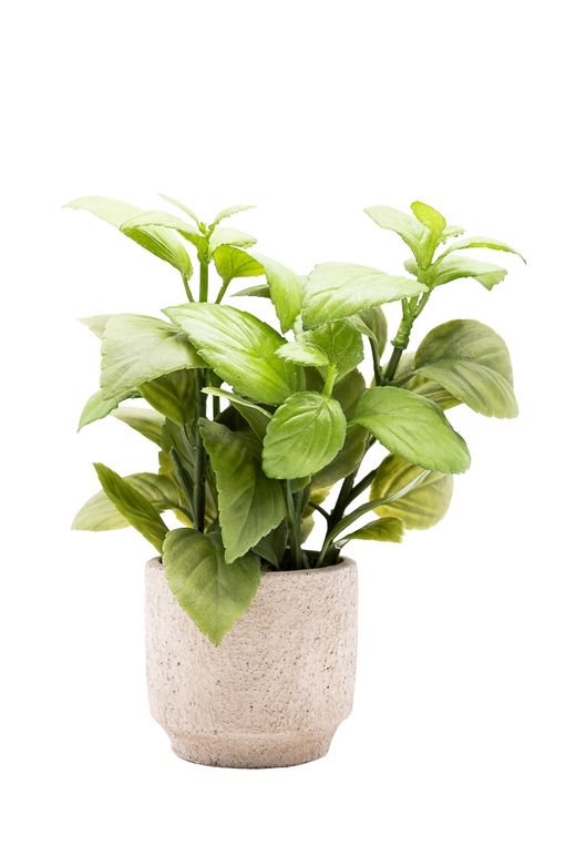 Aromática Albahaca artificial