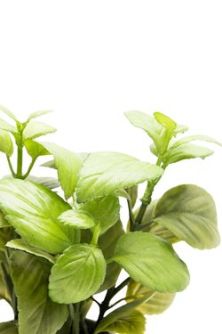 Aromática Albahaca artificial