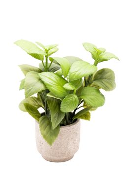 Aromática Albahaca artificial