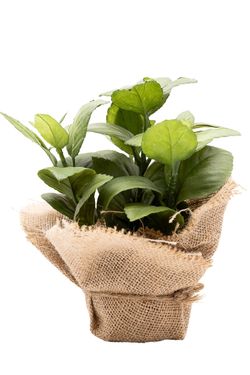 Aromática pequeña Albahaca artificial