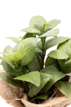 Aromática pequeña Albahaca artificial