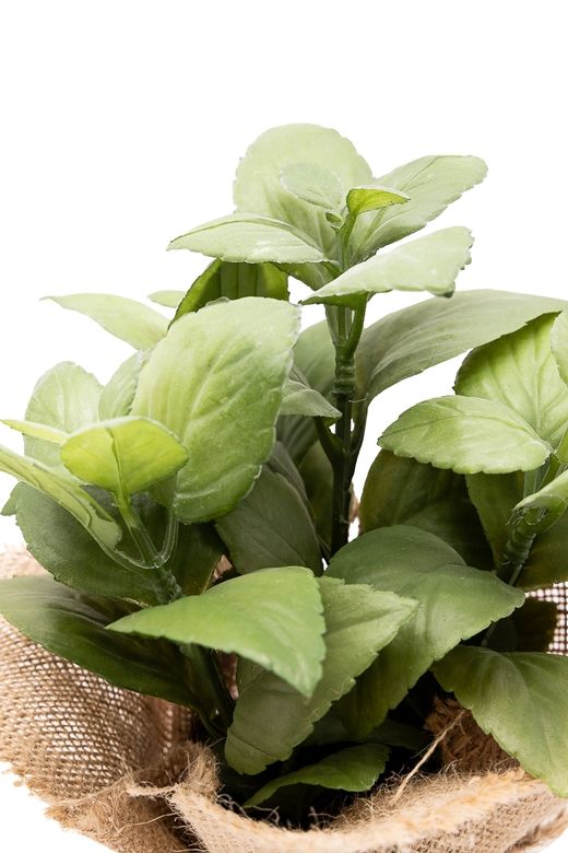 Aromática pequeña Albahaca artificial
