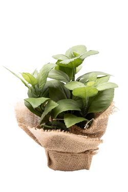 Aromática pequeña Albahaca artificial