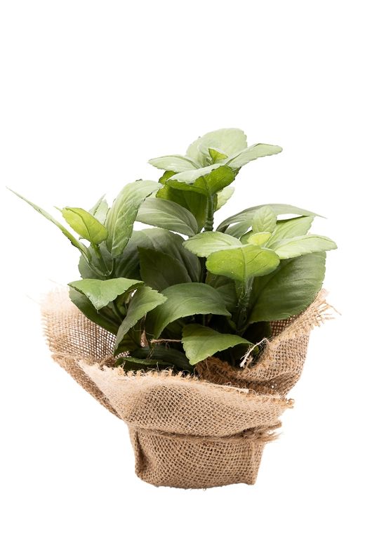 Aromática pequeña Albahaca artificial