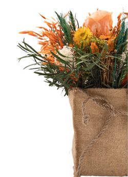 Cálido centro en tonos naranjas, verdes y naturales