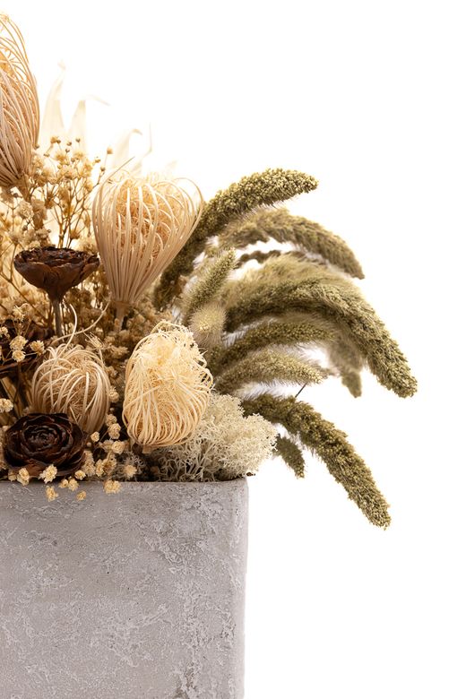 Centro de flores secas y preservadas en tonos natural