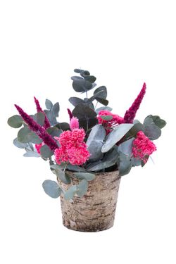 Centro en corteza natural con flores preservadas rosa fucsia