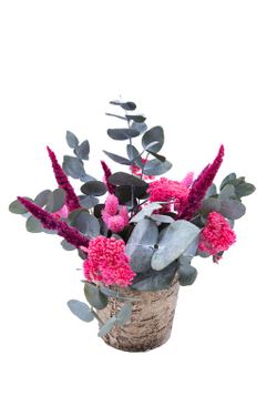 Centro en corteza natural con flores preservadas rosa fucsia