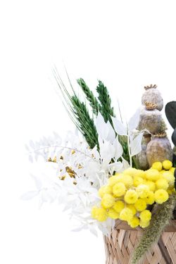 Cesto natural en tonos amarillos. Toda una frescura silvestre