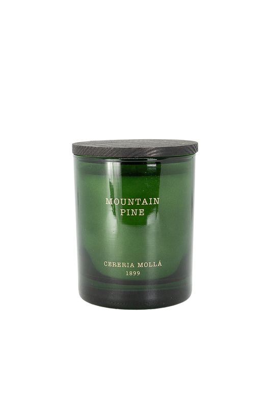 Vela Premium 230 Grs. Mountaine Pine. Colección Christmas CERERIA MOLLA 1899.
