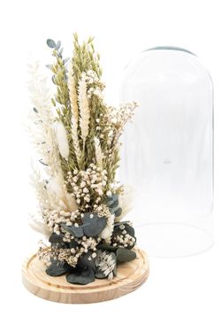 Cúpula de cristal modelo Clara, elegante con paniculata preservada