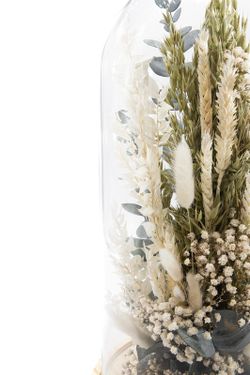 Cúpula de cristal modelo Clara, elegante con paniculata preservada