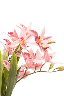Delicada Orquídea artificial Cymbidium en tonos rosa
