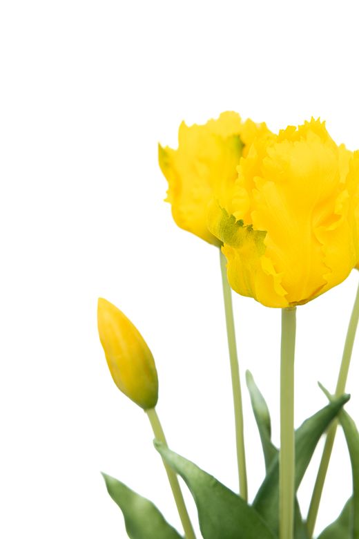 Dinámico ramillete de tulipanes artificiales amarillo intenso