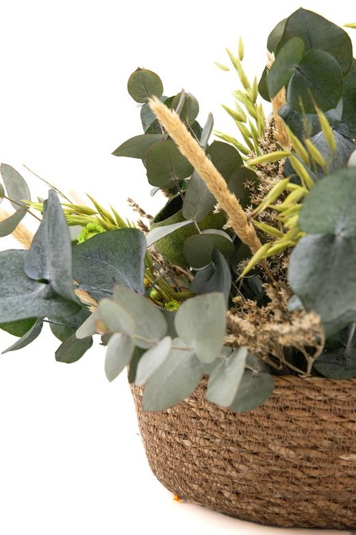 El color verde es el protagonista en este precisos y vistosa cesta de flores preservadas