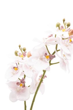 Elegante Orquídea artificial en tonos rosas y blancos