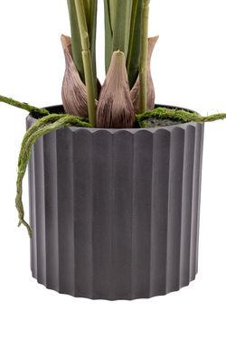 Elegante Orquídea Brassia artificial en color rosa