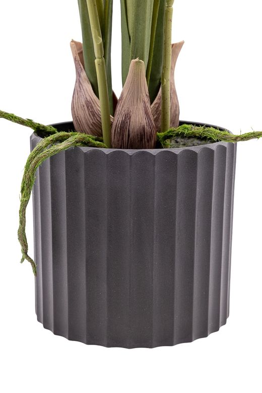 Elegante Orquídea Brassia artificial en color rosa