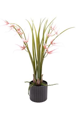 Elegante Orquídea Brassia artificial en color rosa