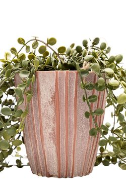 Elegante Peperomia Prostrata colgante artificial