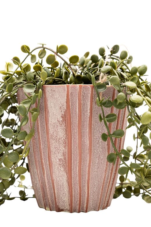 Elegante Peperomia Prostrata colgante artificial