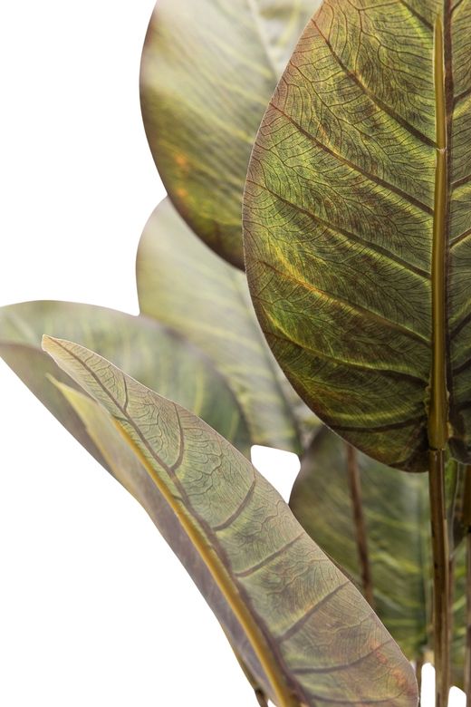 Elegante Philodendron artificial