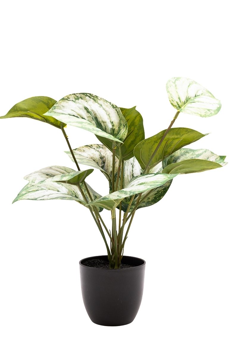 Elegante Photos Satinado artificial