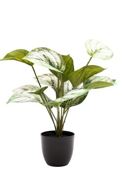 Elegante Photos Satinado artificial