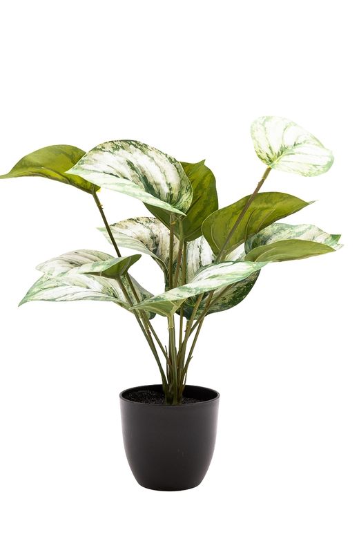 Elegante Photos Satinado artificial