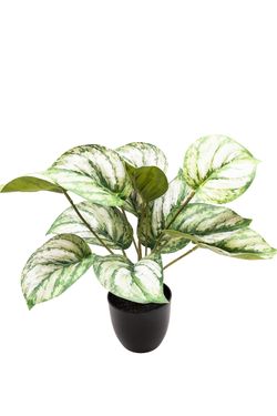 Elegante Photos Satinado artificial