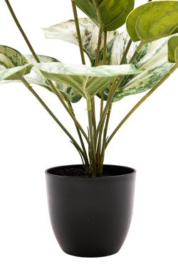 Elegante Photos Satinado artificial