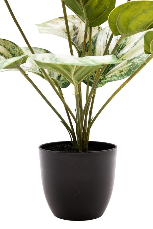 Elegante Photos Satinado artificial