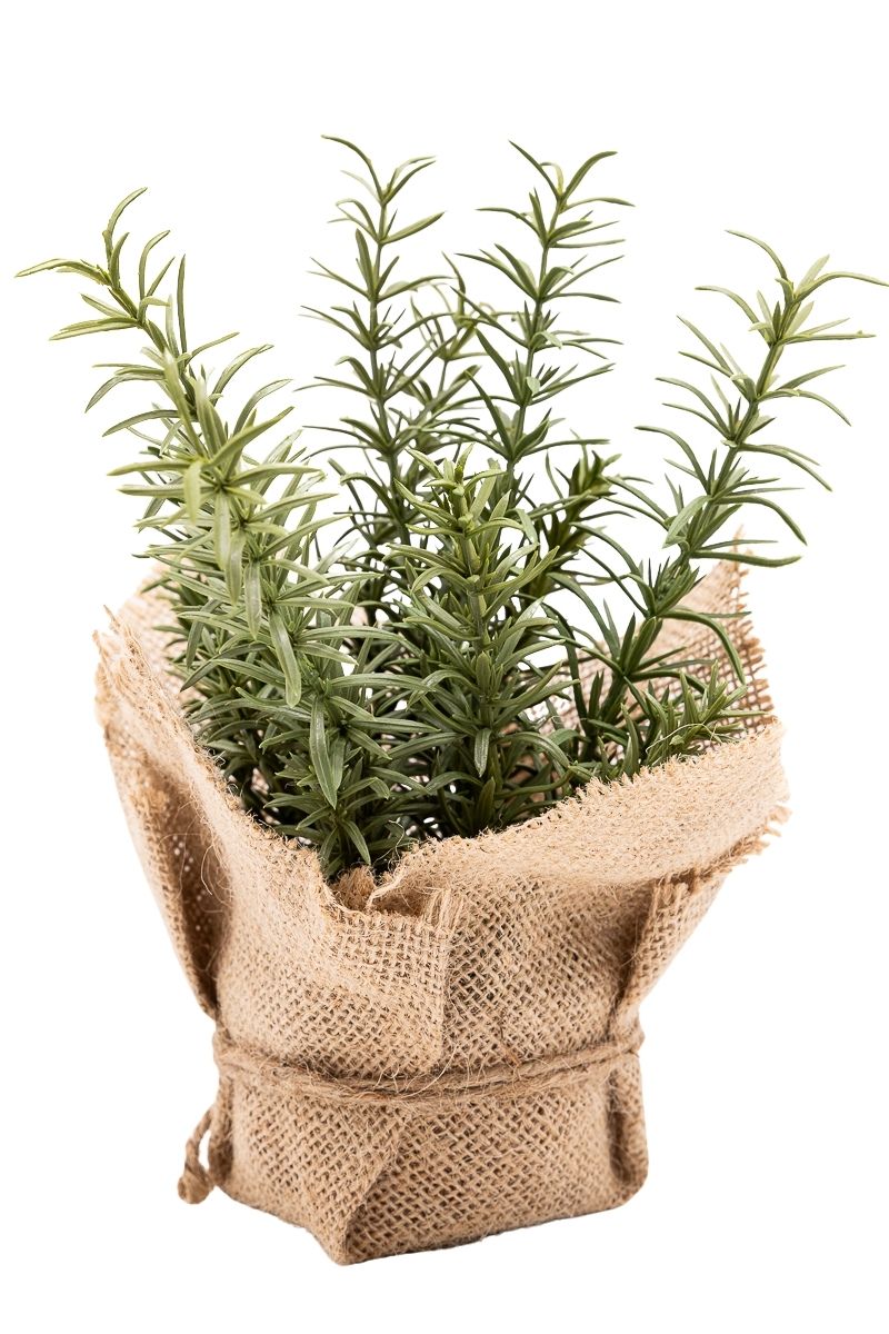 Encantador pequeño Tomillo artificial