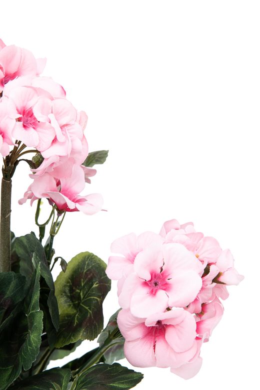 Encantador ramillete floral artificial de geranios rosas