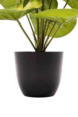 Estilizado Syngoium Artificial